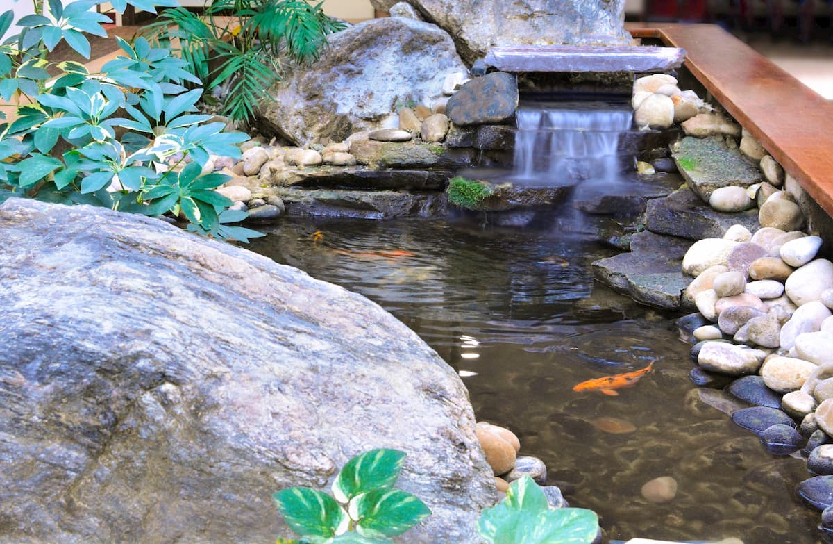 man made pond with koi fish