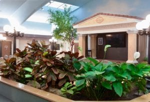 plantboxes in apple village assisted living