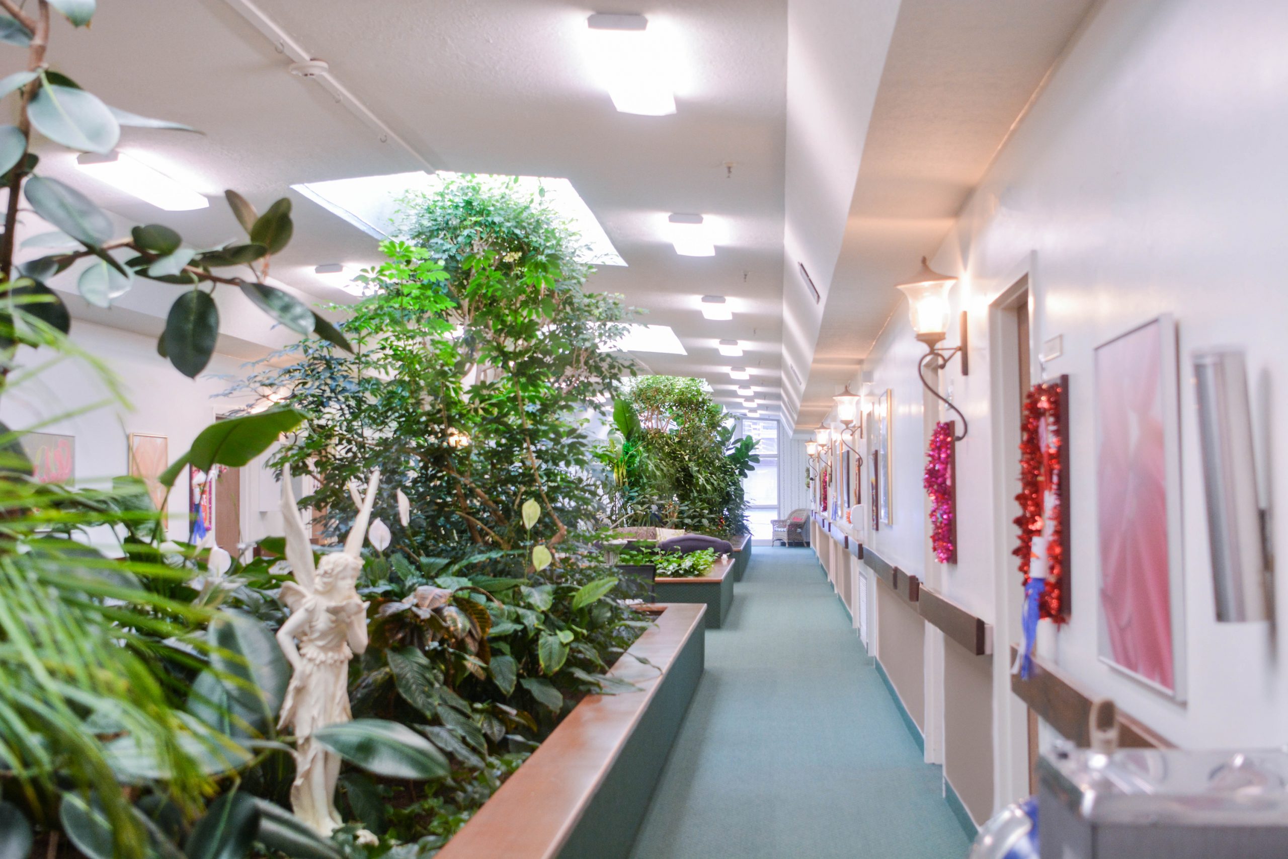 plant boxes in the middle of a hallway